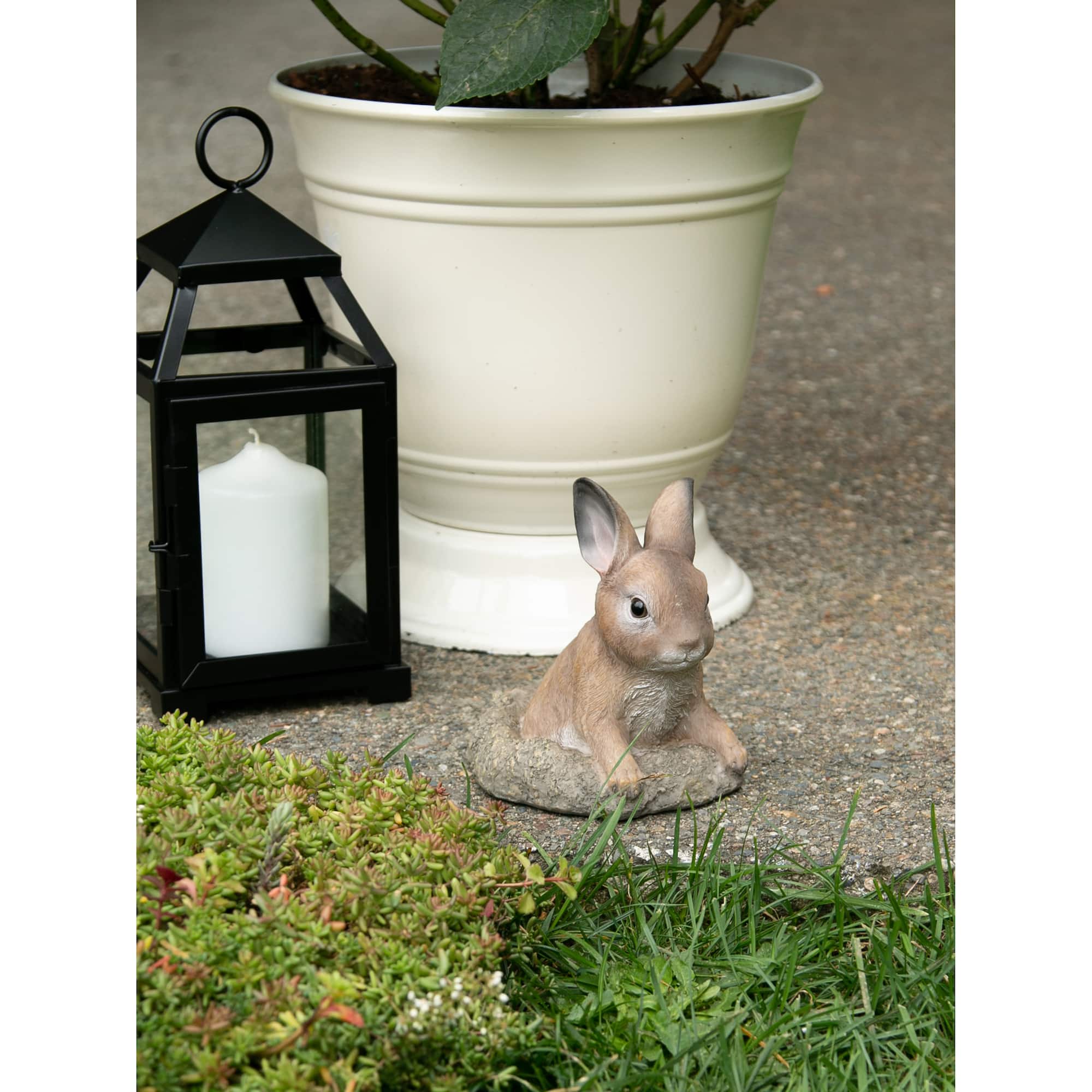 6" Curious Bunny Garden Décor